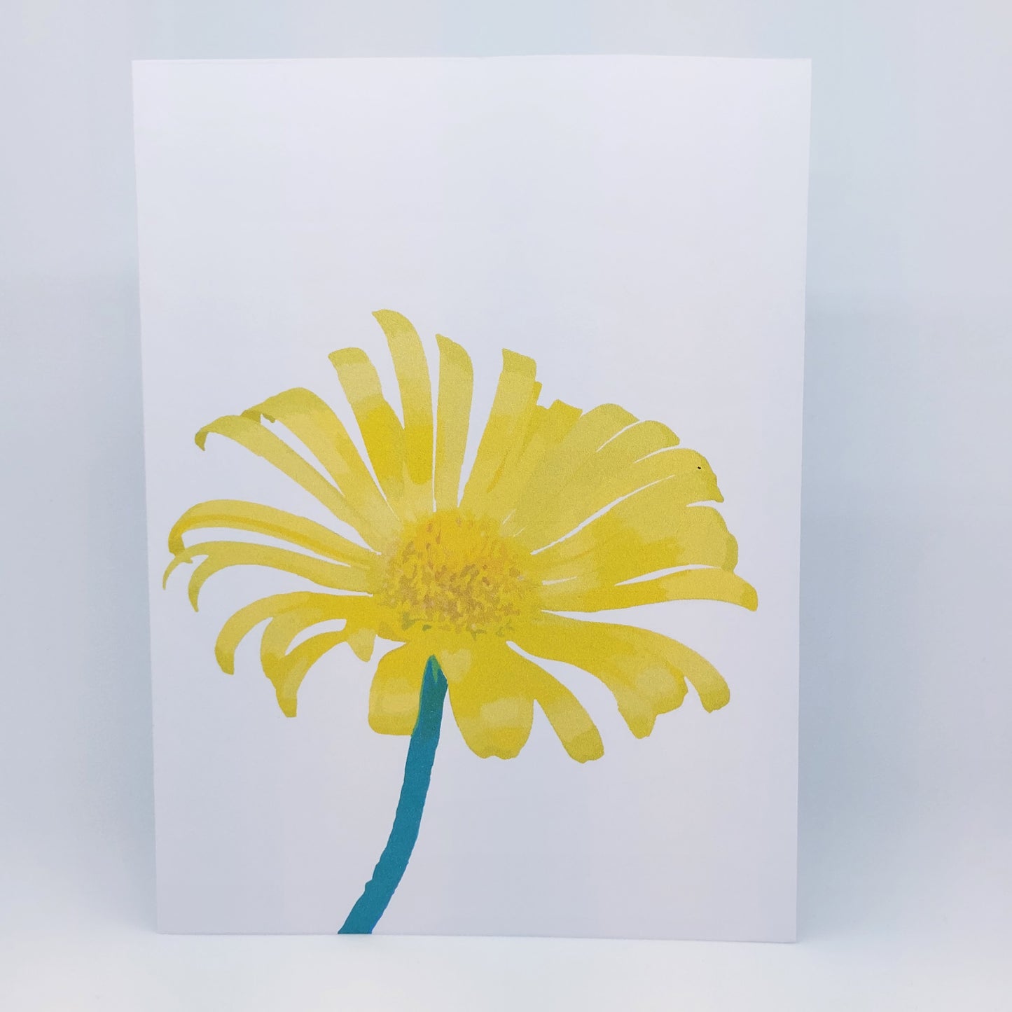 Daisy Greeting Card