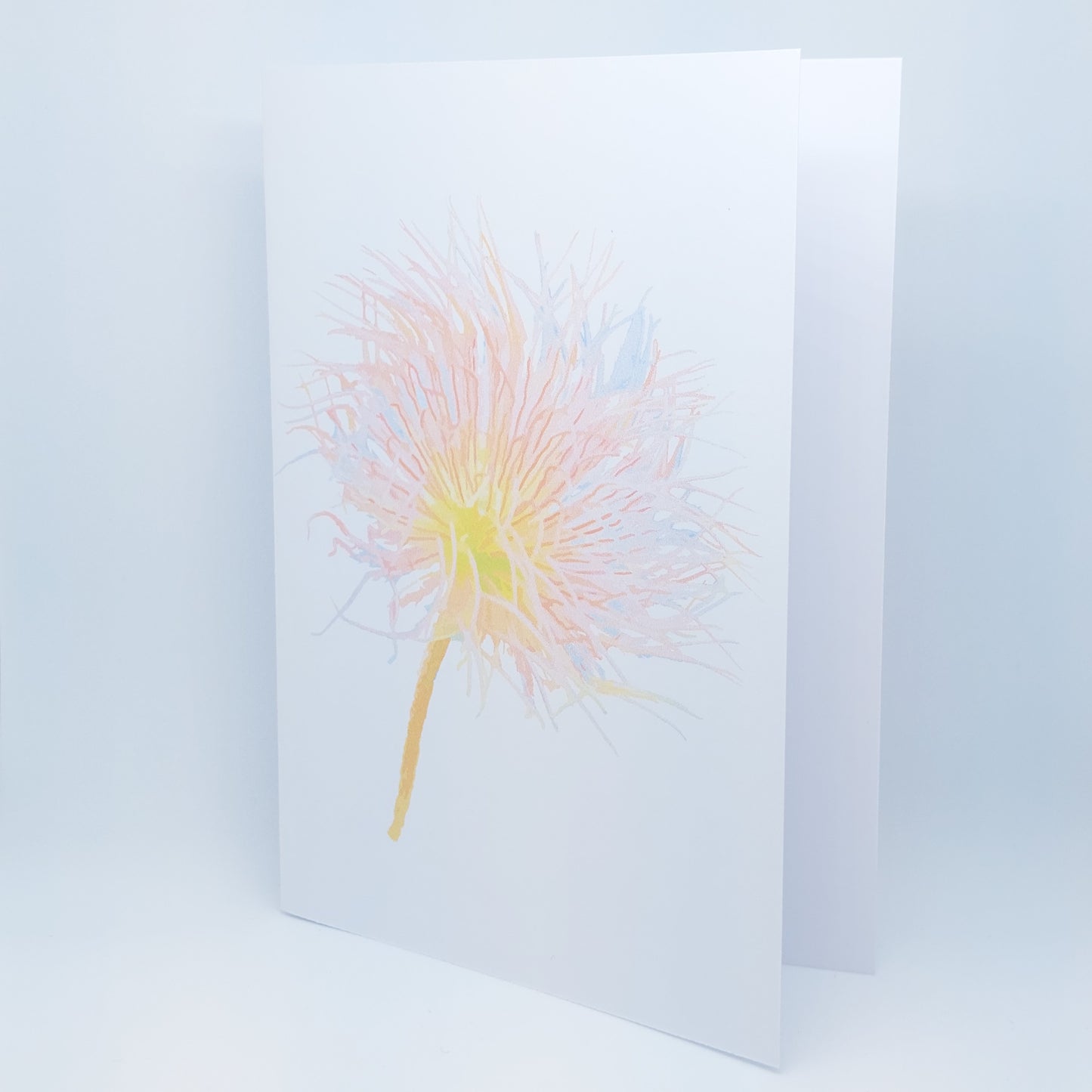 Alpine Anemone Greeting Card