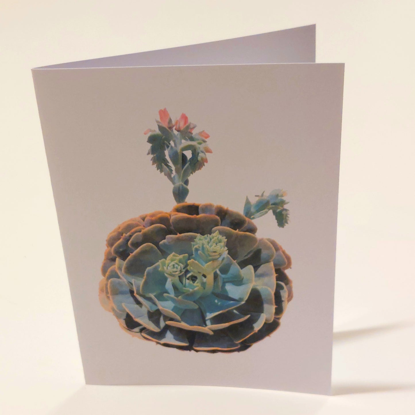 Circular Succulent Greeting Card