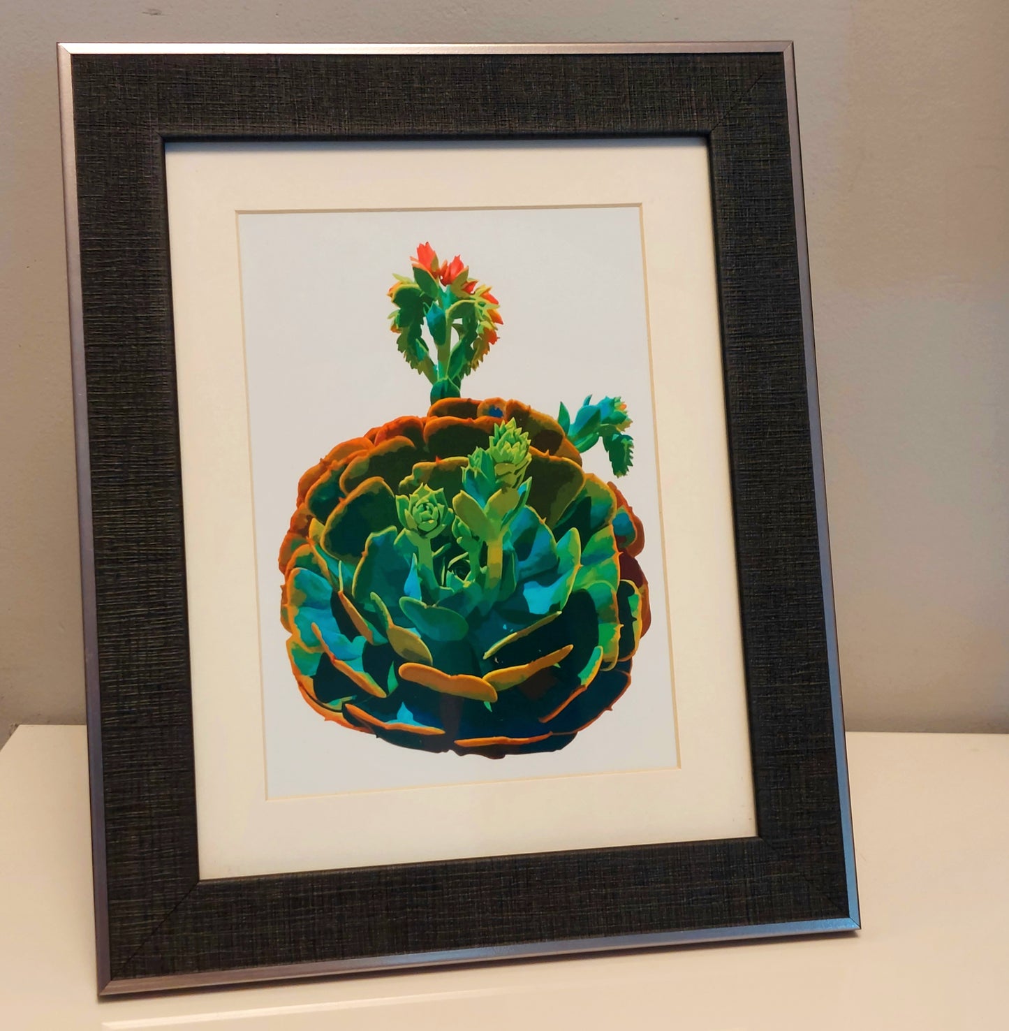 Circular Succulent Poster