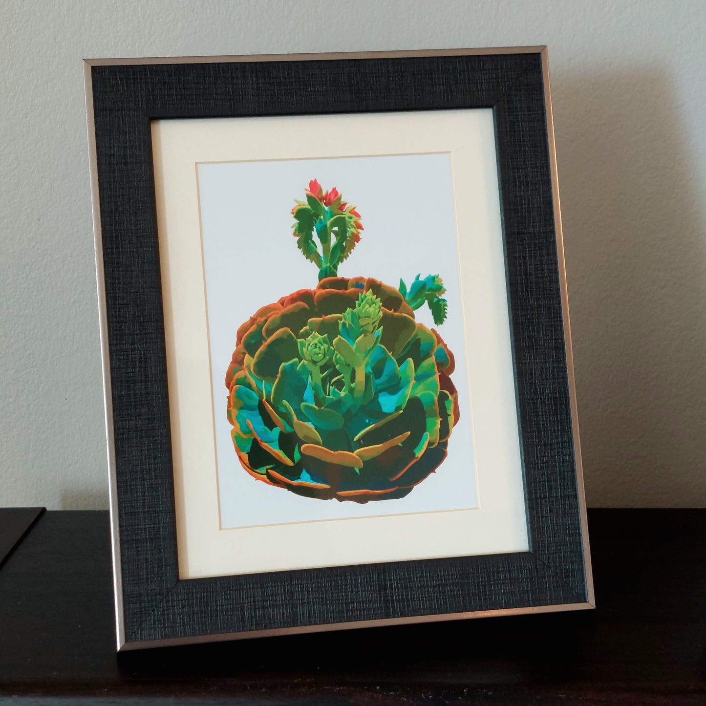 Circular Succulent Poster