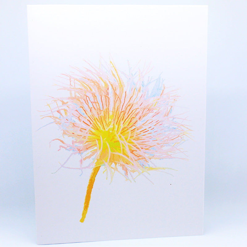 Alpine Anemone Greeting card=multicolor=kashima.is