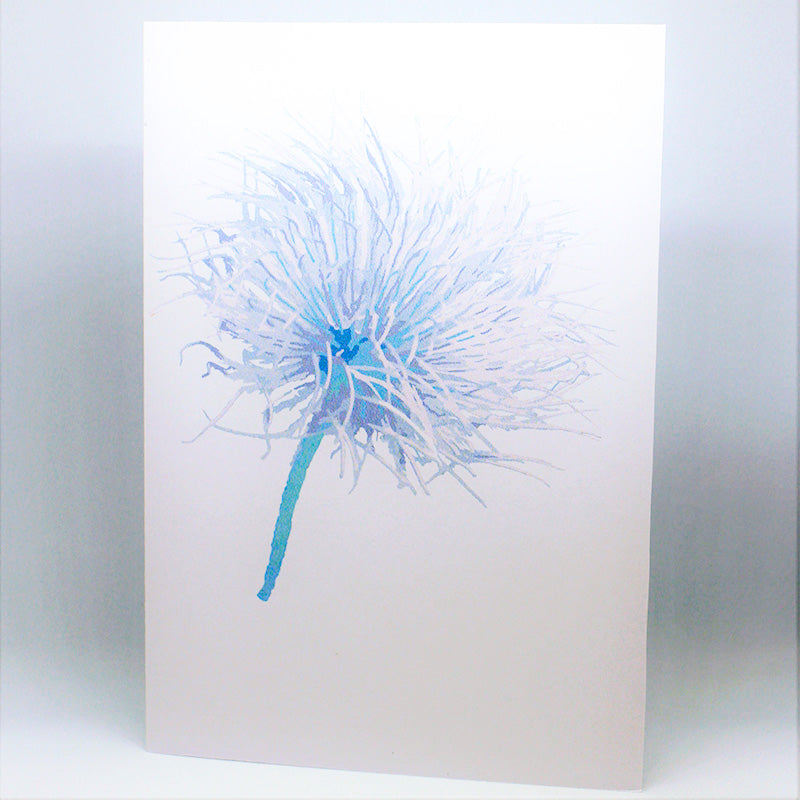 Alpine Anemone Greeting card=multicolor=kashima.is