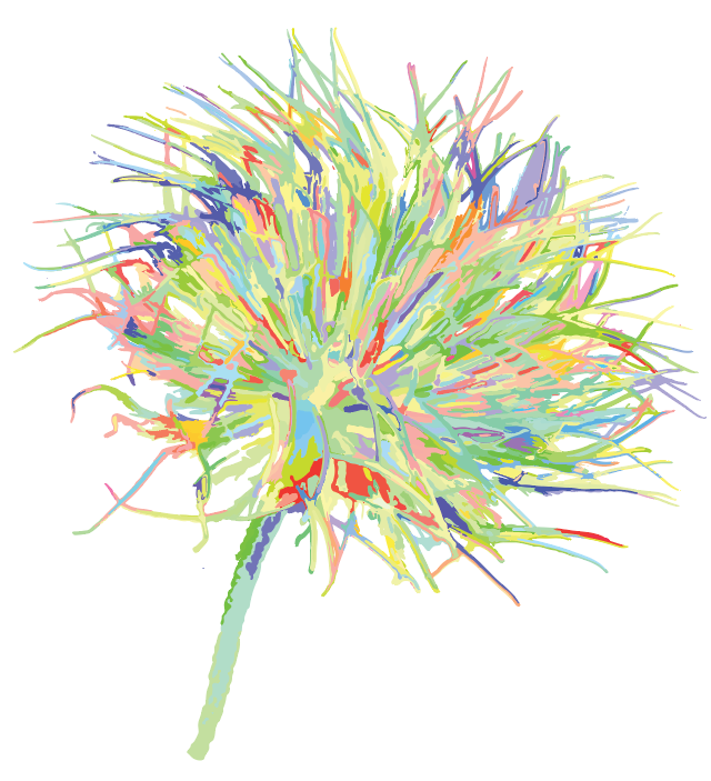 Alpine Anemone Greeting card=multicolor=kashima.is