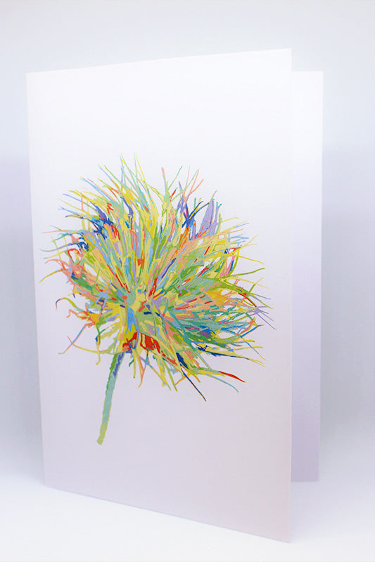 Alpine Anemone Greeting card=multicolor=kashima.is