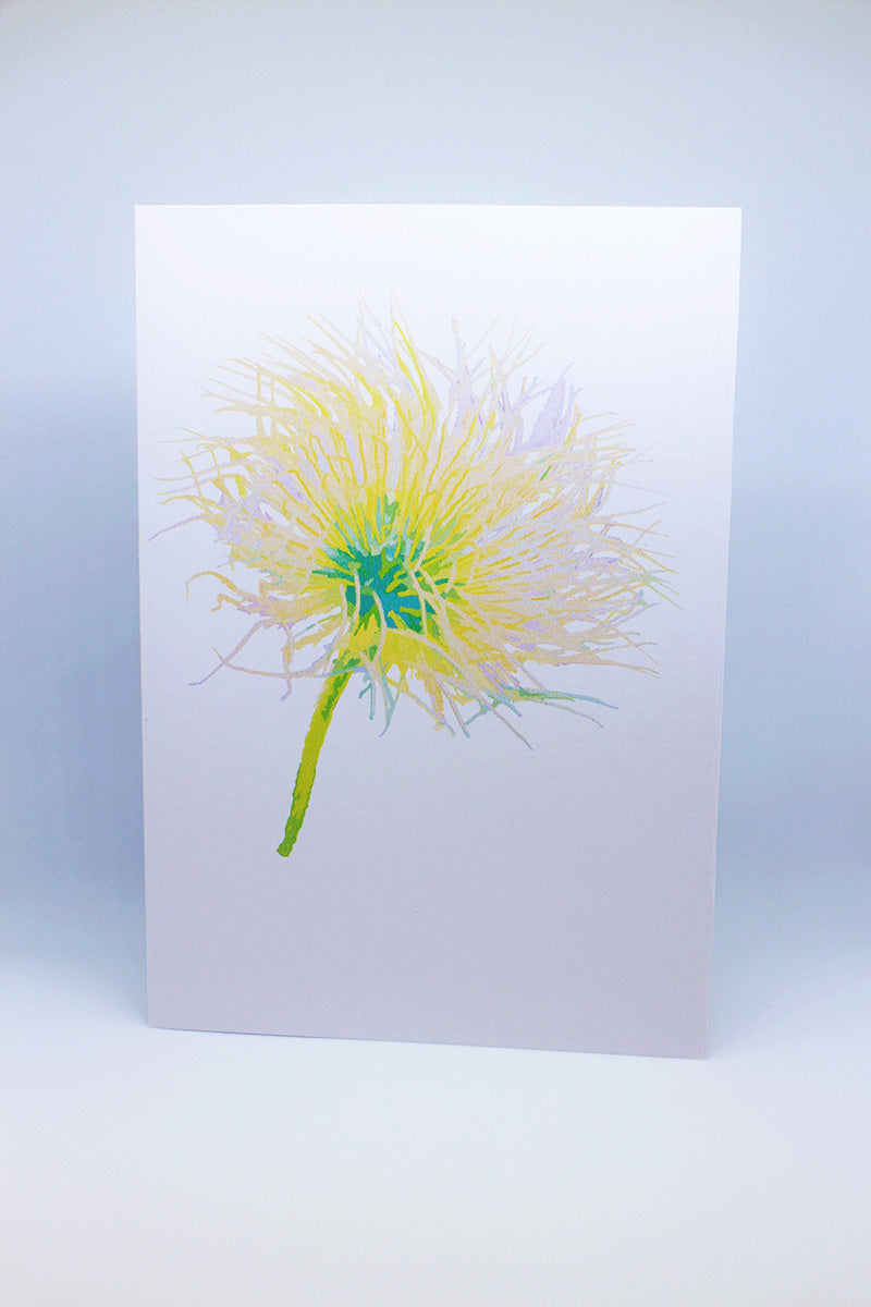 Alpine Anemone Greeting Card