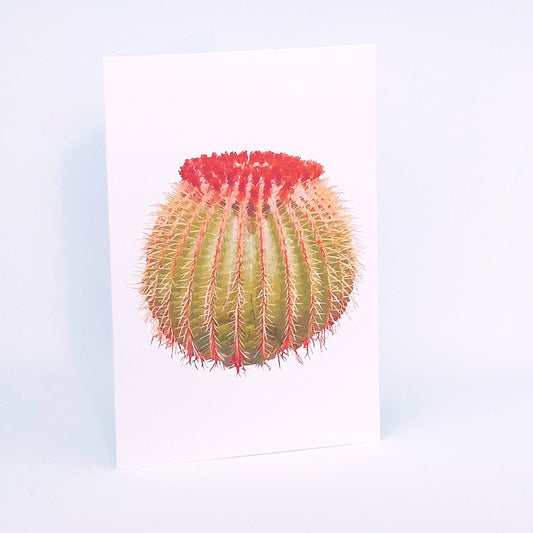 Round Cactus Greeting Card green and pink. kashima.is